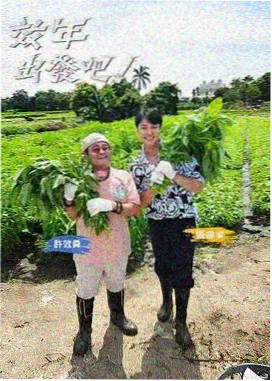 旧物改造家 生活技能综艺海报